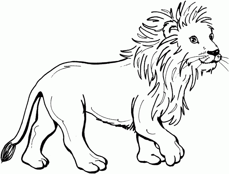 dibujos-de-leones-salvajes-para-imprimir-y-pintar-colorear-im-genes