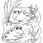 Dibujos de ranas para colorear