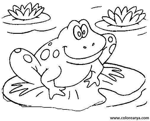 Dibujos de ranas para colorear | Colorear imágenes