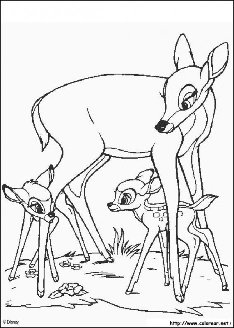 Imágenes dulces de Bambi de Walt Disney para pintar | Colorear imágenes