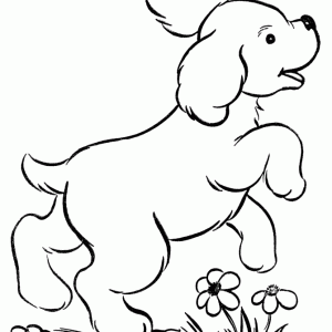 Printable-dog-coloring-pages-300x300 - copia
