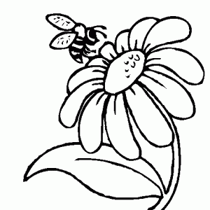 bee-and-daisy-flower-coloring-pages-300x300