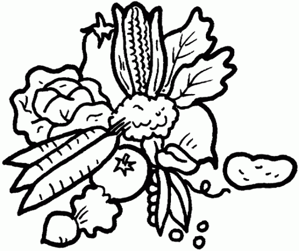 dibujo-frutas-y-hortalizas-de-otono.jpg1