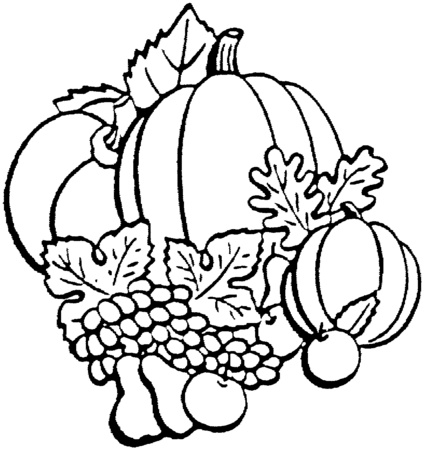 dibujos de hortalizasfamilia-de-vegetales-con-calabaza-dibujos-para-colorear