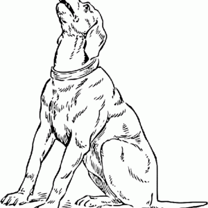 realistic-dog-coloring-pages-for-kids-300x300