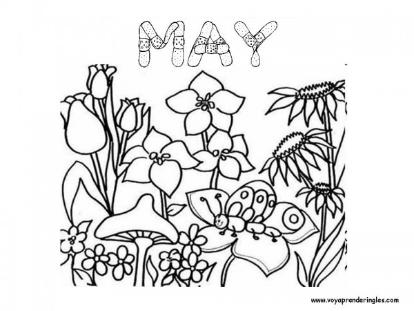 05_may_mayo