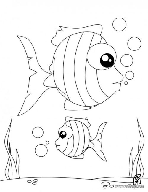 Dibujos de peces de agua dulce y salada para colorear | Colorear imágenes