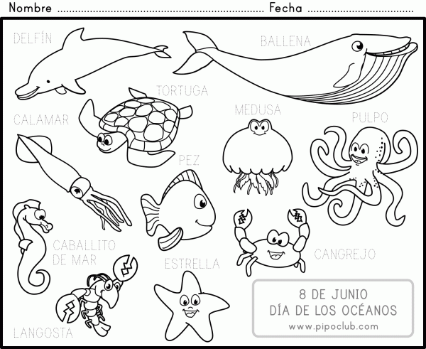 oceanos_diamundialpeq.png1