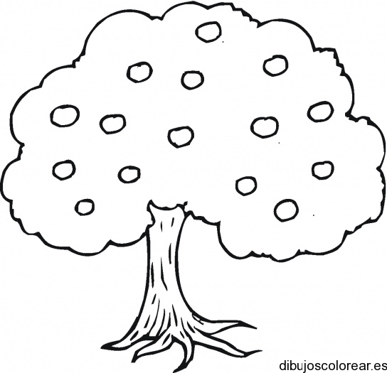 Dibujos de árboles para descargar, imprimir y colorear | Colorear imágenes