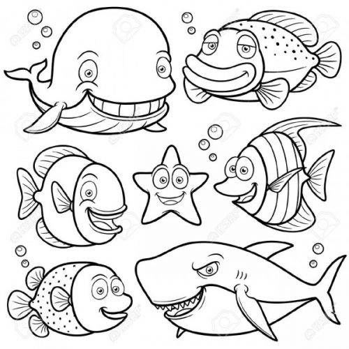 Dibujos de animales marinos para pintar | Colorear imágenes