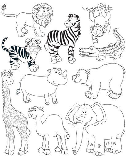 Plantillas con dibujos de animales salvajes para colorear | Colorear  imágenes