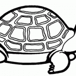 Imágenes de tortugas para pintar