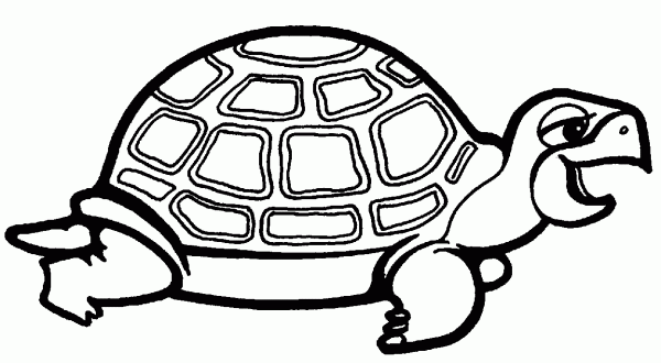 dibujos-de-tortugas-15410