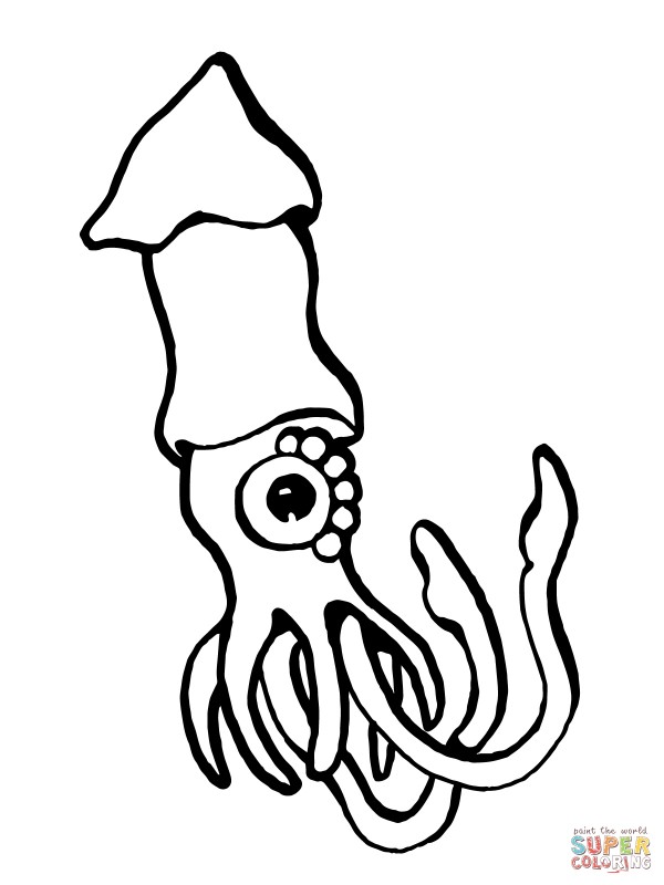 european-squid-coloring-page