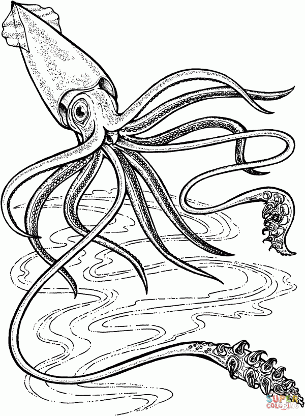 giant-squid-coloring-page