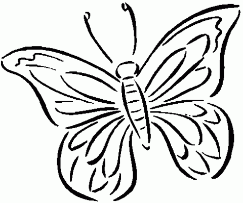 mariposa-13.gif1