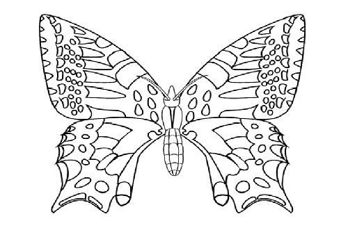 mariposa-13.gif4