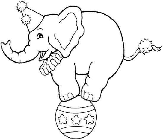 Elefante007