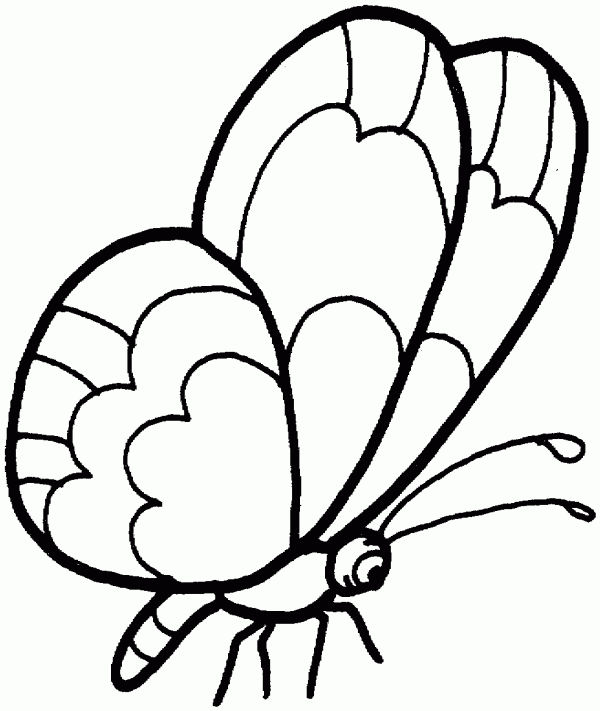 dibujos-infantiles-de-mariposas-para-colorear