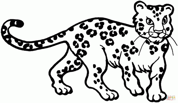 leopard-4-coloring-page