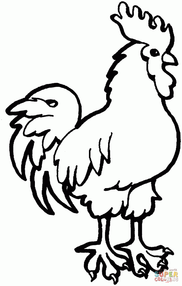 a-hen-coloring-page
