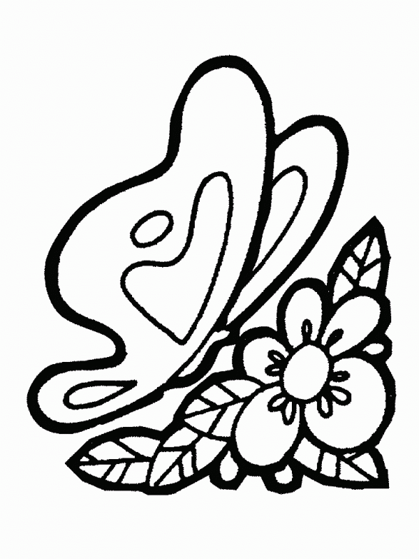 Dibujos para pintar de flores y mariposas de primavera | Colorear imágenes