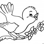 Dibujos de pájaros para imprimir y pintar