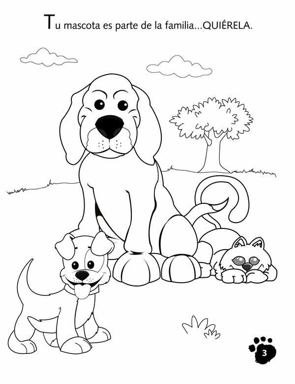 Dibujos Infantiles De Animales Para Descargar Imprimir Pintar Y
