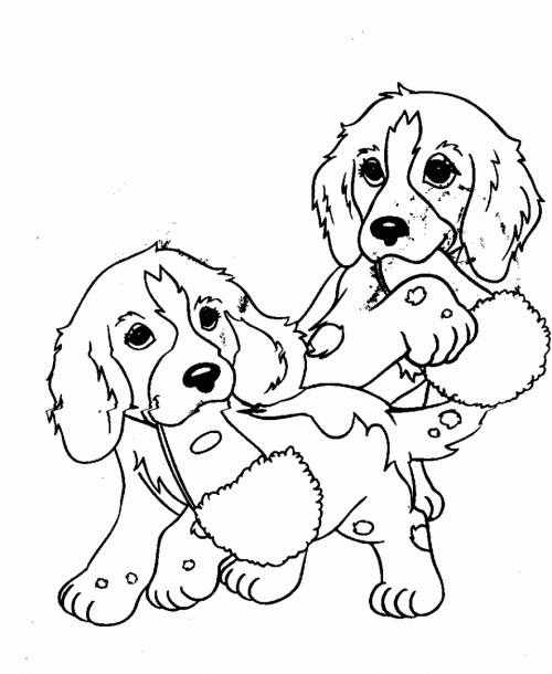 Dibujos de perros cachorros para colorear | Colorear imágenes