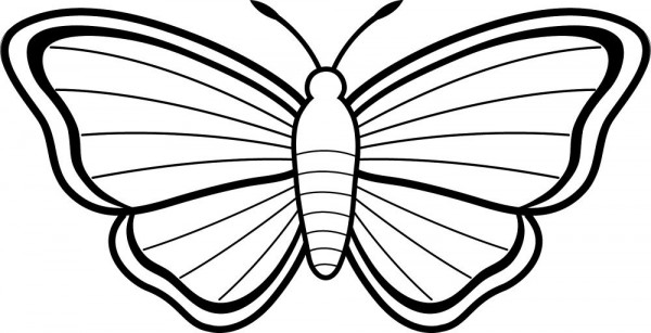 dibujos-para-colorear-de-mariposas