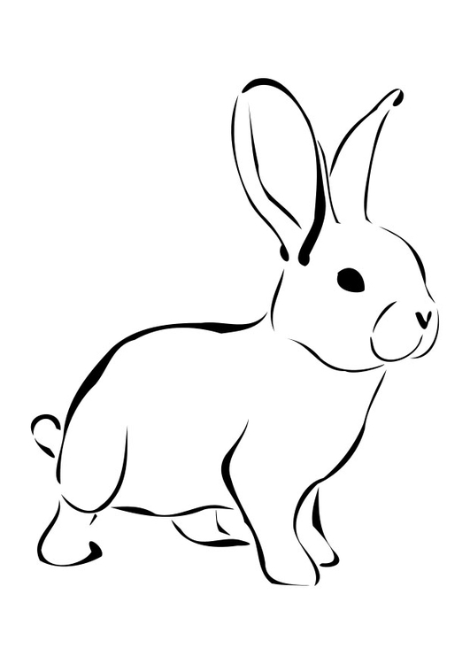 Dibujos de Conejos para colorear ☆ Imágenes para imprimir y pintar |  Colorear imágenes