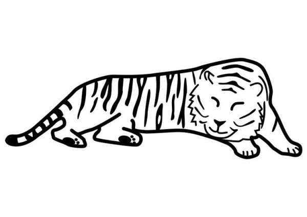 Dibujos de tigres para colorear, descargar e imprimir | Colorear imágenes
