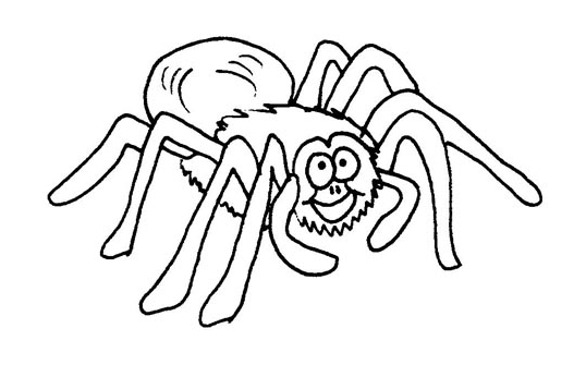 Dibujos de Arañas para colorear, descargar e imprimir | Colorear imágenes