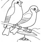 Dibujos de pájaros para colorear, descargar e imprimir