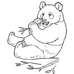 Dibujos de osos panda para colorear, descargar e imprimir