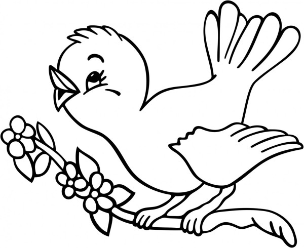 Dibujos de pájaros para colorear, descargar e imprimir | Colorear imágenes