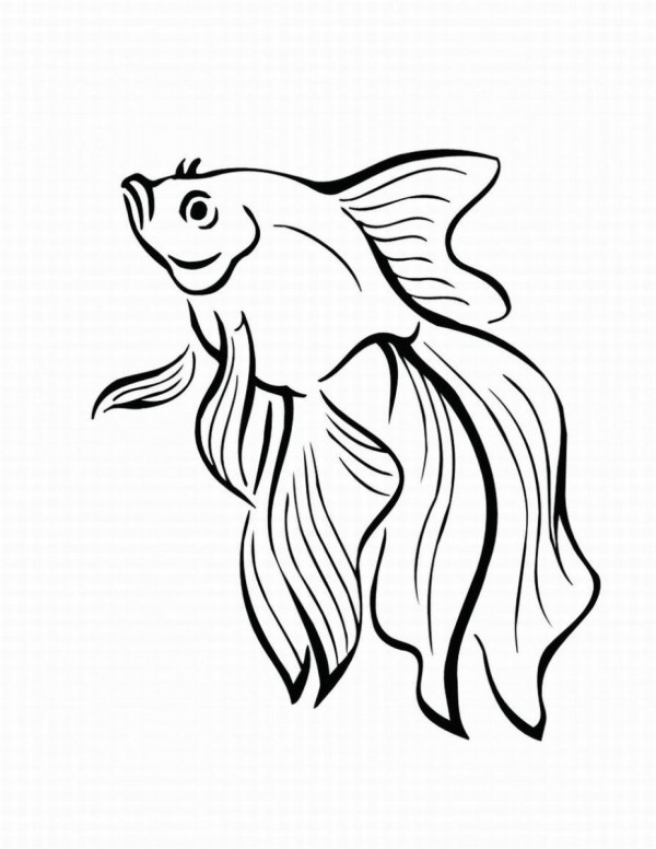 Dibujos de peces para colorear, descargar e imprimir | Colorear imágenes