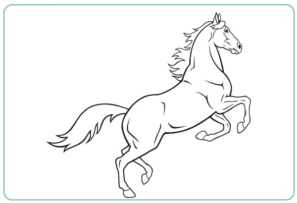 Dibujos de caballos para colorear, descargar e imprimir | Colorear imágenes