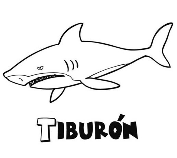Dibujos de tiburones para colorear, descargar e imprimir | Colorear imágenes