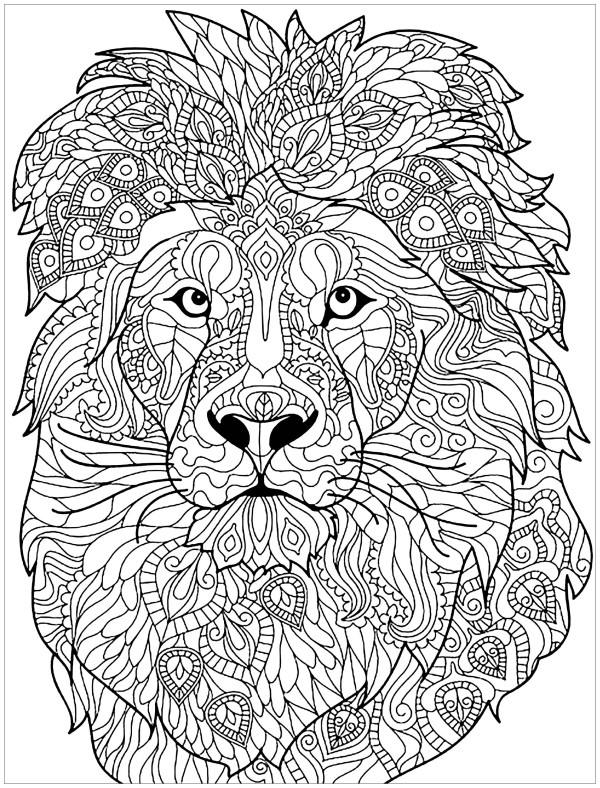 Dibujos de leones para colorear, descargar e imprimir | Colorear imágenes