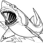 Dibujos de tiburones para colorear, descargar e imprimir