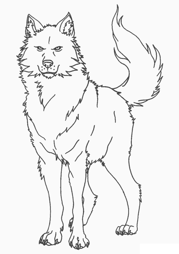 Dibujos de lobos para colorear, descargar e imprimir | Colorear imágenes