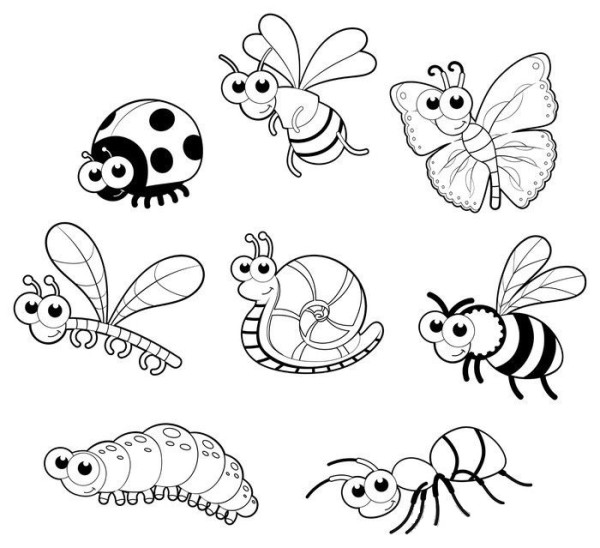  Dibujos de insectos para colorear, descargar e imprimir