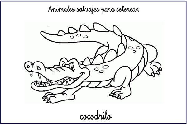 Dibujos de cocodrilos para colorear, descargar e imprimir | Colorear  imágenes