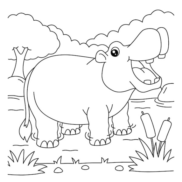 Dibujos de hipopotamos para colorear, descargar e imprimir | Colorear  imágenes