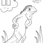 Dibujos de iguanas para colorear, descargar e imprimir