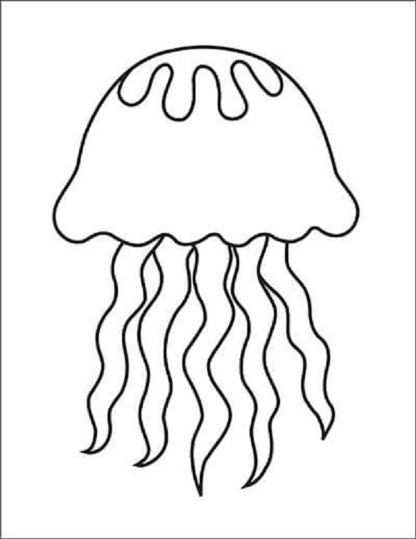 Dibujos de medusas para colorear, descargar e imprimir | Colorear imágenes