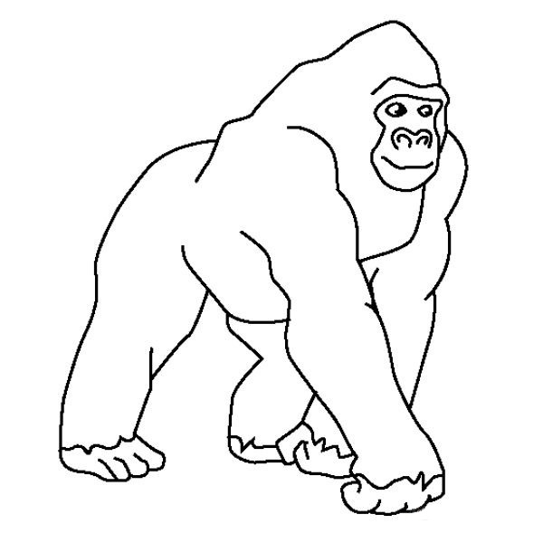 dibujo-de-gorila-facil | Colorear imágenes