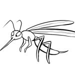 Dibujos de insectos para colorear, descargar e imprimir