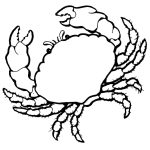 Dibujos de cangrejos para colorear, descargar e imprimir